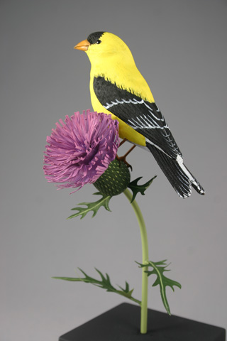 goldfinch